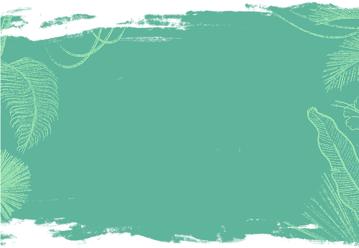 Transparent Tropical Background Png - Tropical Background, Png Download PNG with transparent background