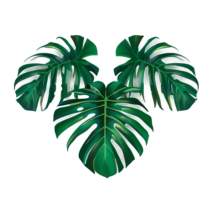 Tropical Leaf Border Png Gsr85