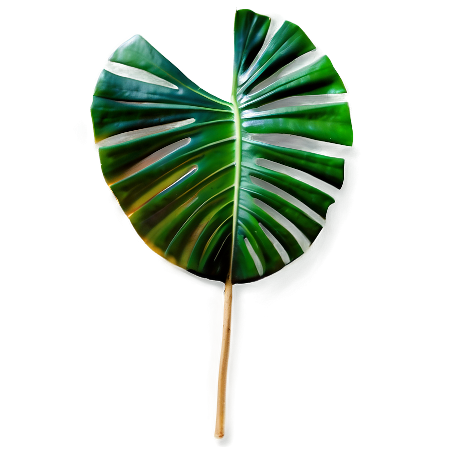 Tropical Leaf Collection Png Tad