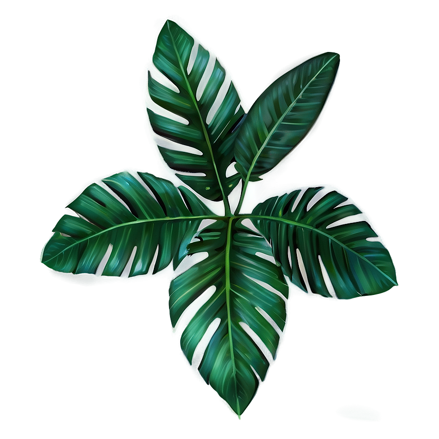 Tropical Leaf Detail Png 06122024