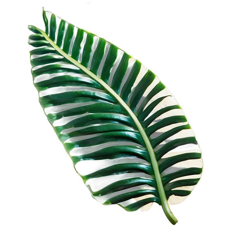 Tropical Leaf Frame Png Hxx