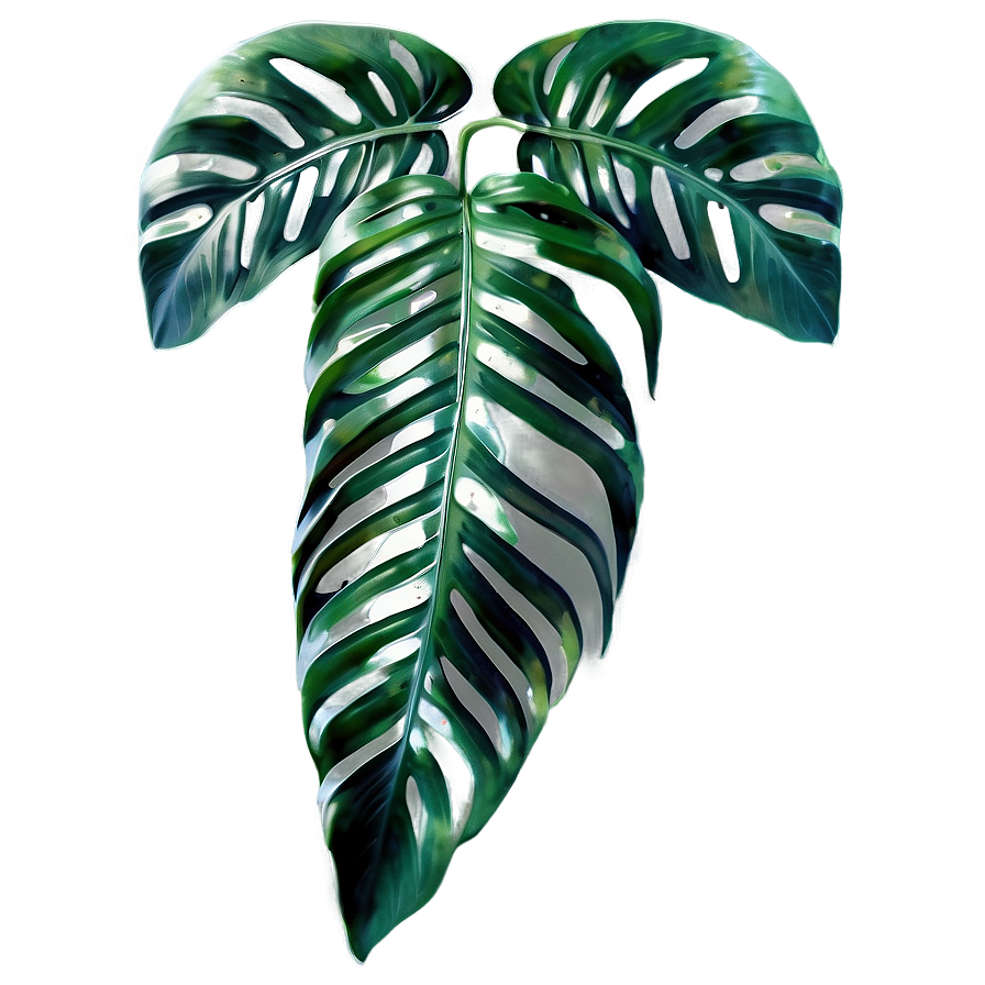 Tropical Leaf Mural Png 58