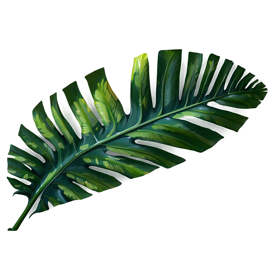 Tropical Leaf Png 05032024