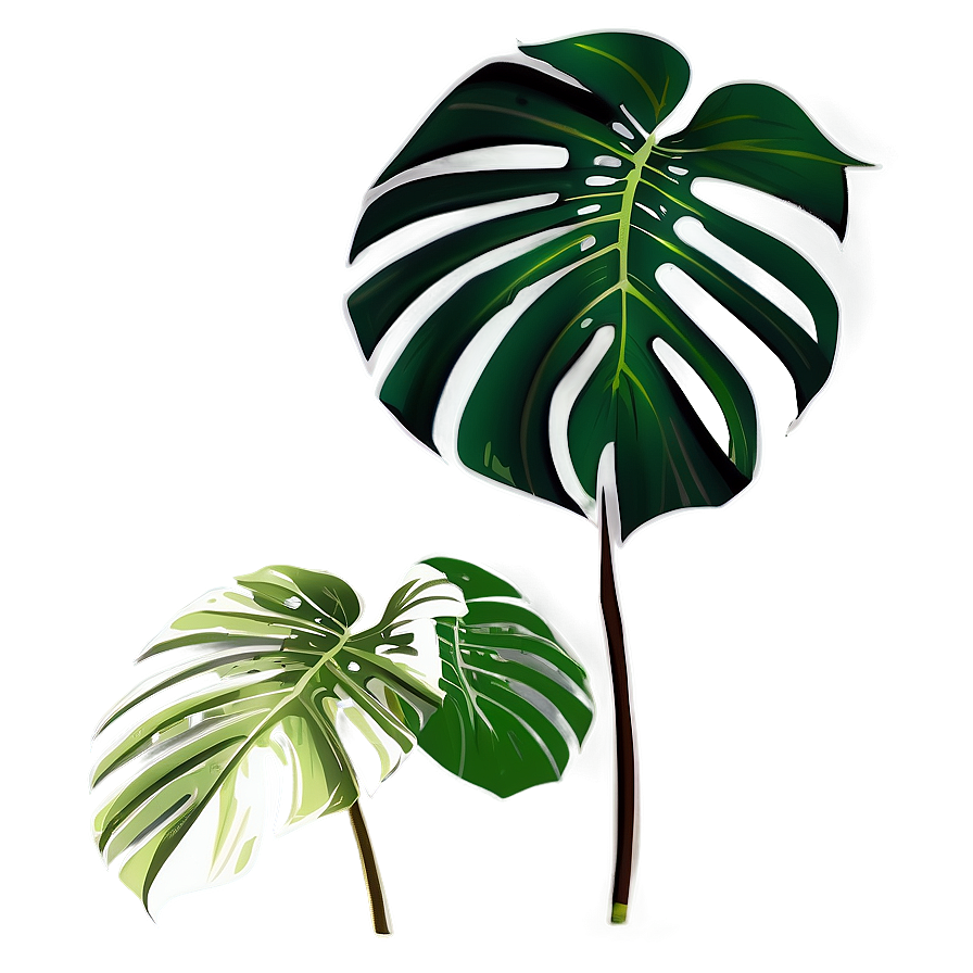 Tropical Monstera Silhouette PNG 63 PNG with transparent background