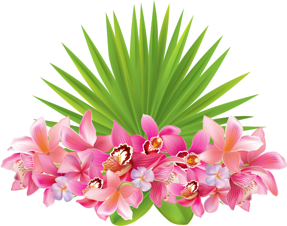#flowers #tropical #plant #leaves #caribbean #summer - Tropical Flowers Transparent Background, HD Png Download PNG with transparent background