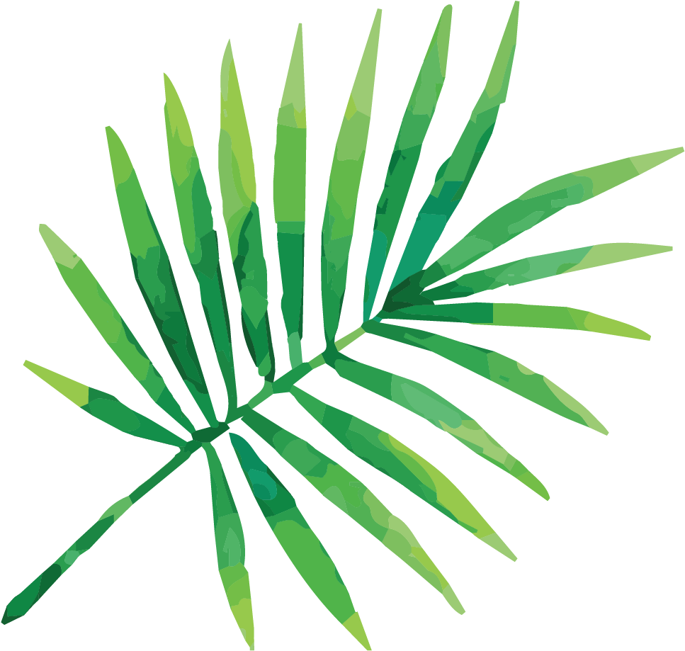 Cropped Bartboard - Tropical Leaves Vector Png, Transparent Png PNG with transparent background