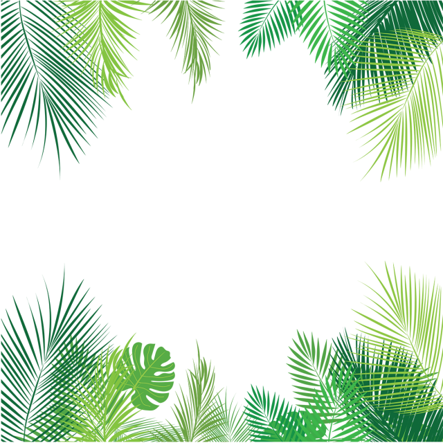 Tropical Leaves Png - Summer Border, Transparent Png PNG with transparent background