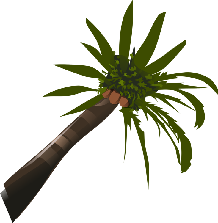 Tropical Palm Leaf Vector