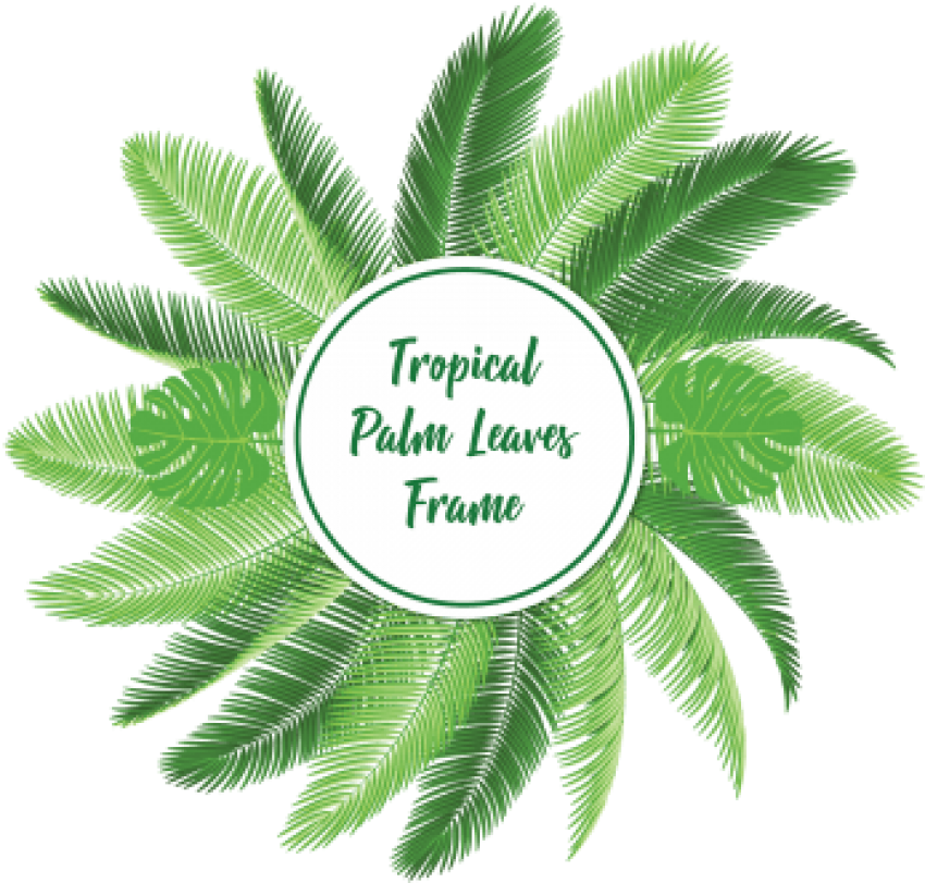 Tropical Palm Leaves Frame Graphic