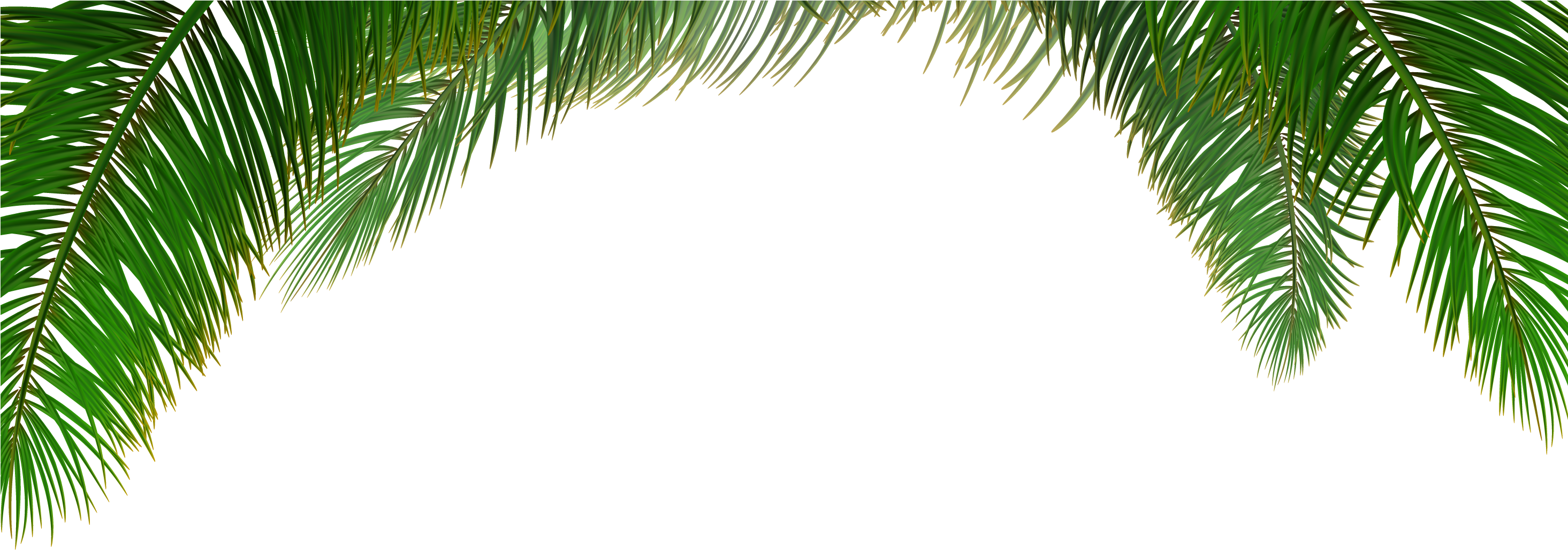 Clip Art Transparent Download Arecaceae Tree Euclidean - Palm Leaves Vector Png, Png Download PNG with transparent background