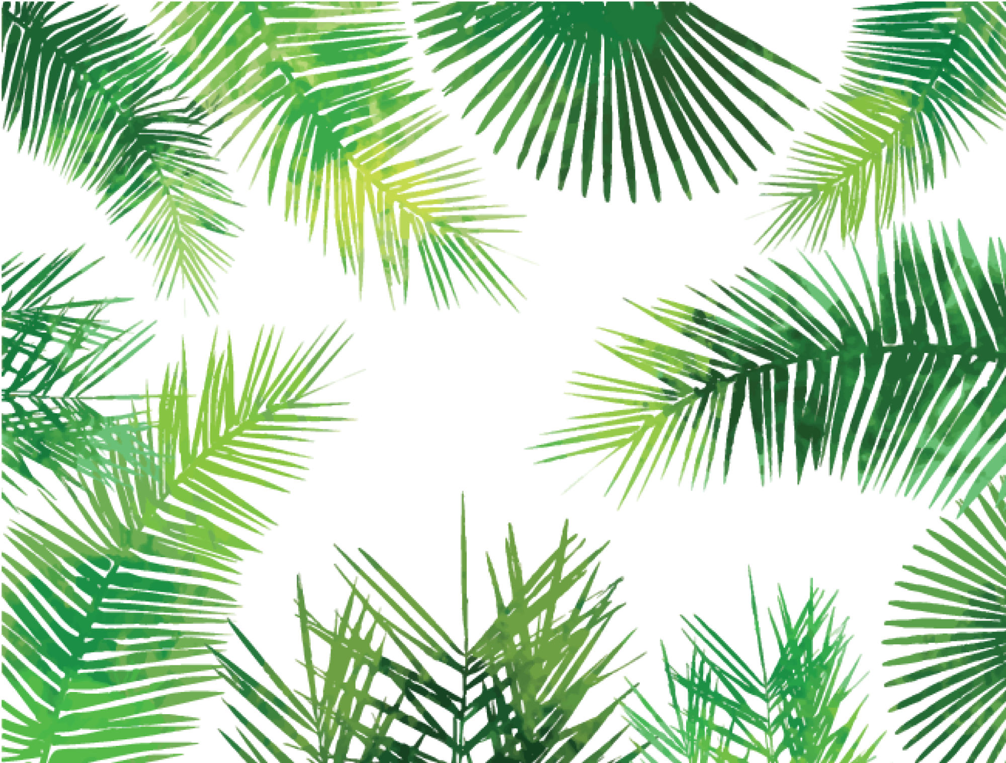 Watercolor Palm Leaves Png - Palm Leaves Pattern Png, Transparent Png PNG with transparent background