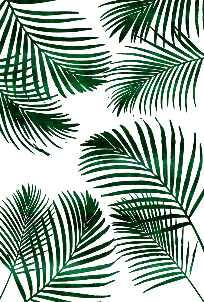 Tropical Palm Leaves Pattern