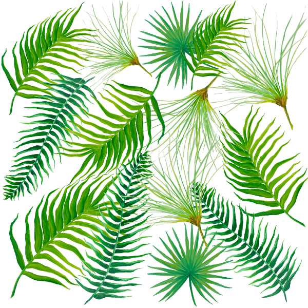 Fern Leaves With Flower, HD Png Download PNG with transparent background