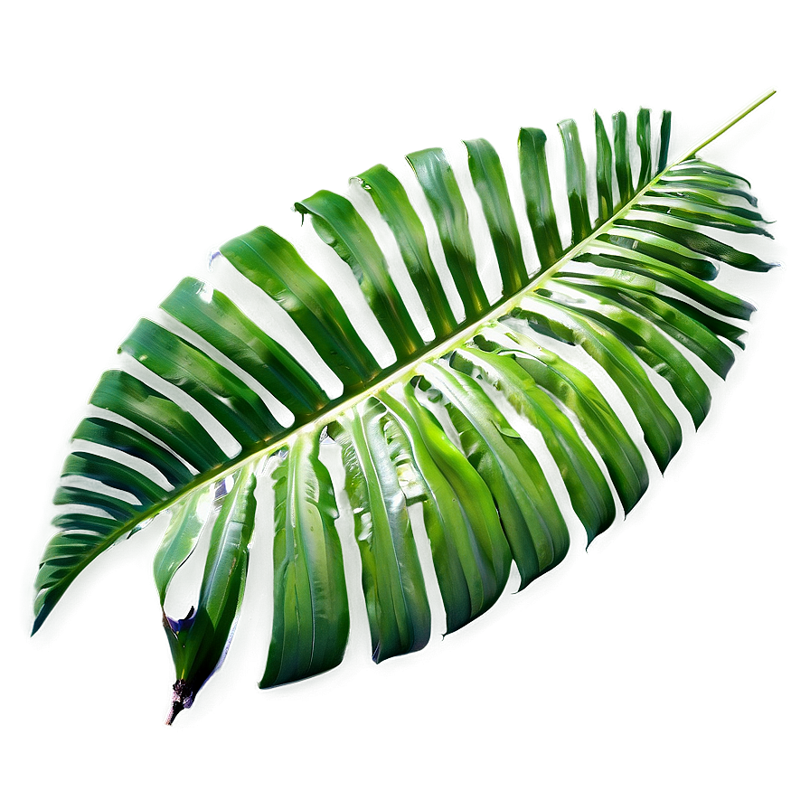 Tropical Palm Leaves PNG 93 PNG with transparent background