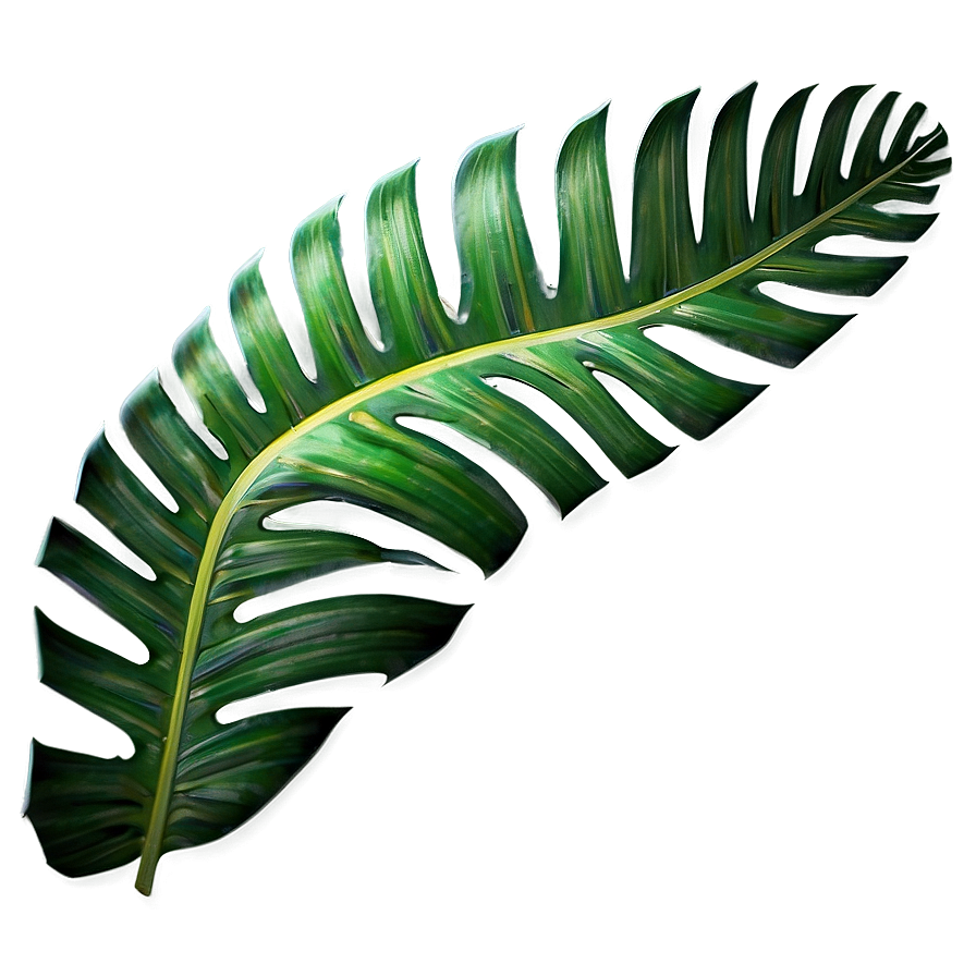 Tropical Palm Leaves PNG jhc PNG with transparent background