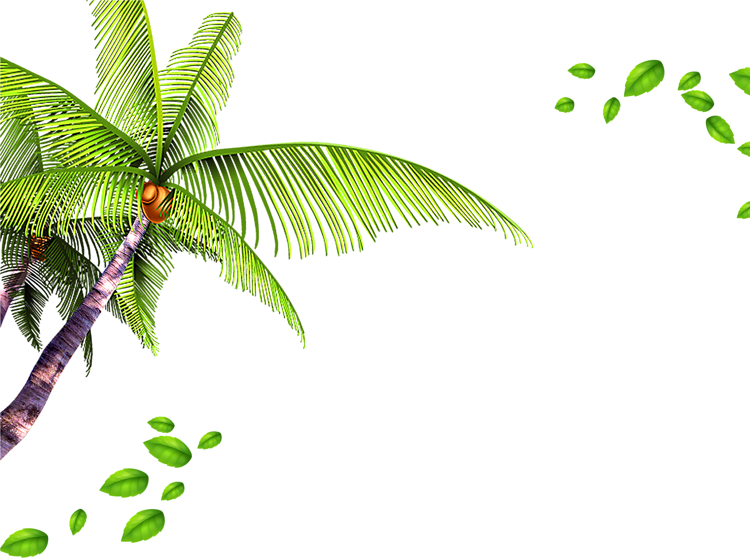 Palm Tree Leaves Background - Leaves Background Png, Transparent Png PNG with transparent background