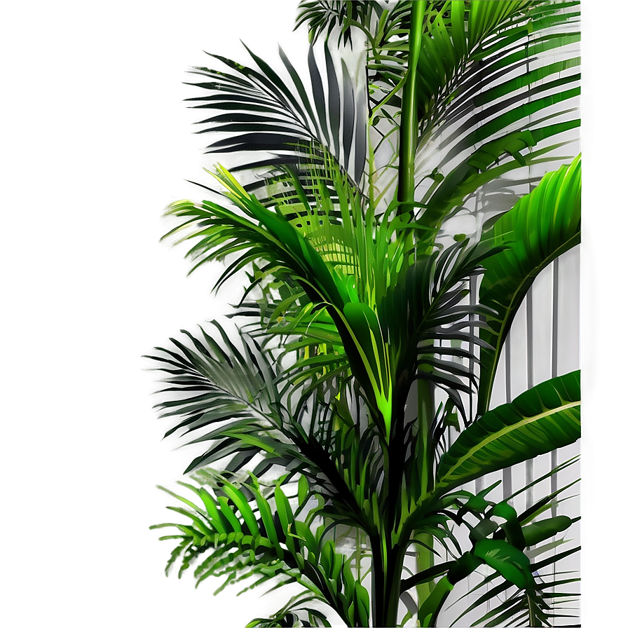 Tropical Palm Plant Png 75