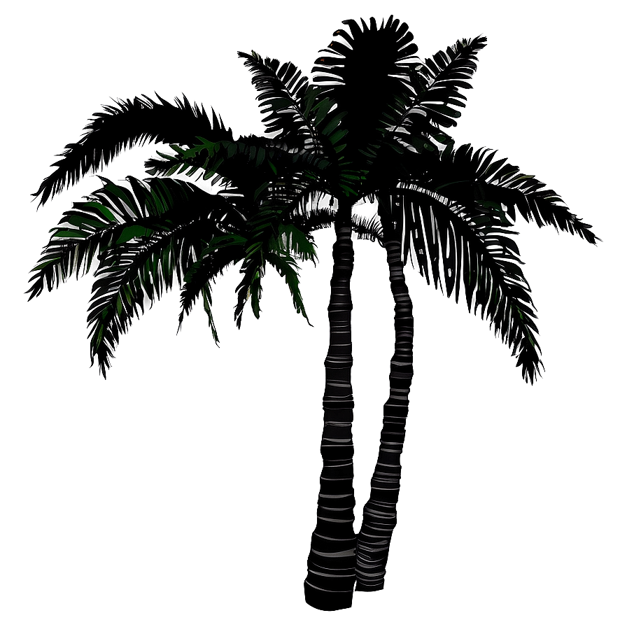 Tropical Palm Silhouette Png 06262024