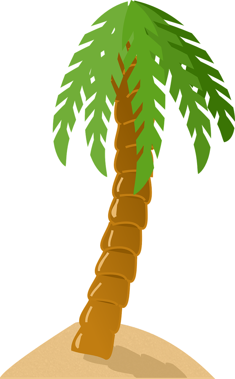 Palm Tree Clip Art, HD Png Download PNG with transparent background