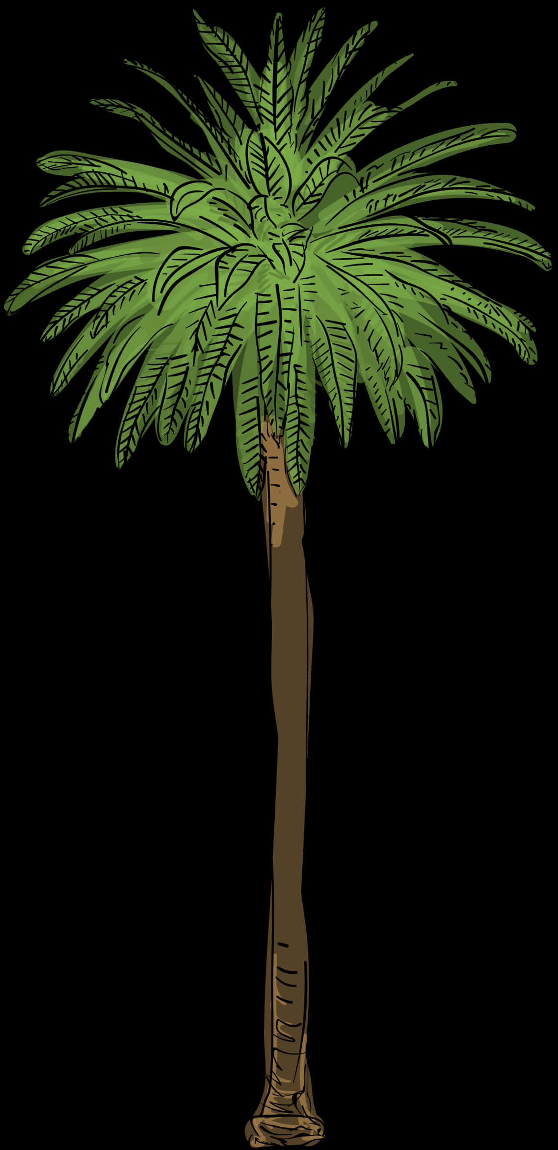 Canary Island Date Palm Png, Transparent Png PNG with transparent background