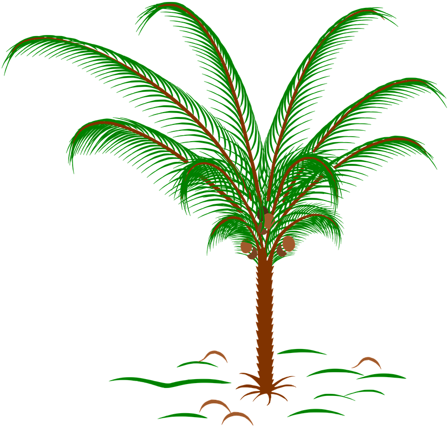 Tree Palm Palm Leaves Plant Png Image - Snow Globe Palm Tree, Transparent Png PNG with transparent background