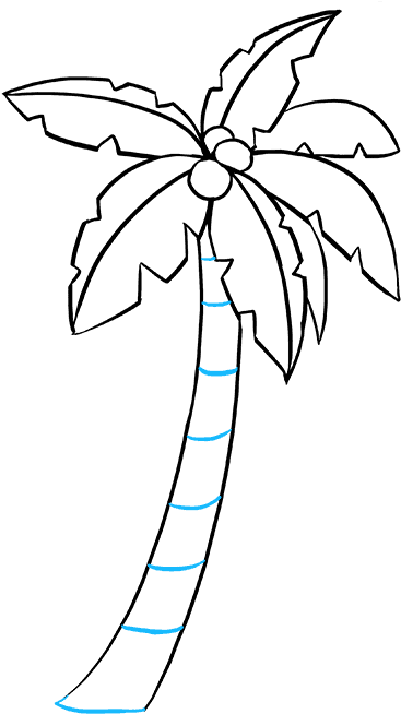 How To Draw Palm Tree - Simple Palm Tree Drawing Easy, HD Png Download PNG with transparent background