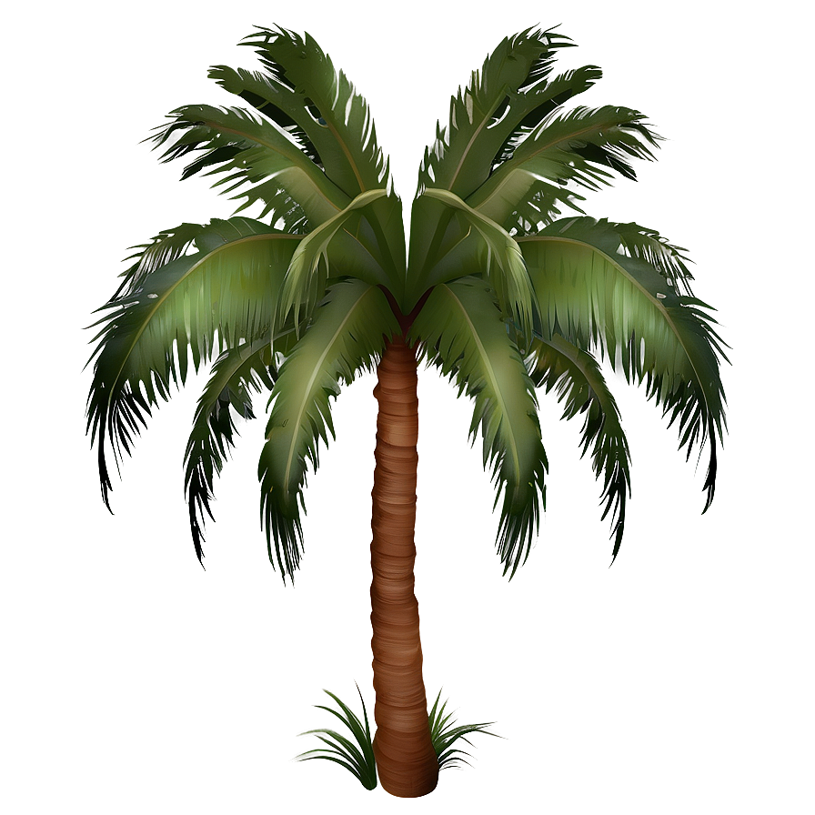 Tropical Palm Tree PNG 04292024 PNG with transparent background