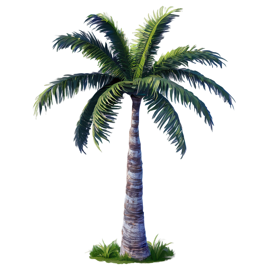 Tropical Palm Trees Png 05042024