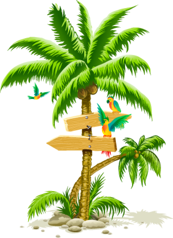 Tropical Palm Treewith Directional Signsand Parrots