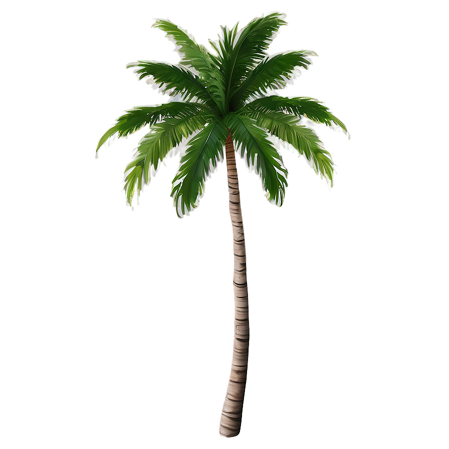 Tropical Palms Png 06112024