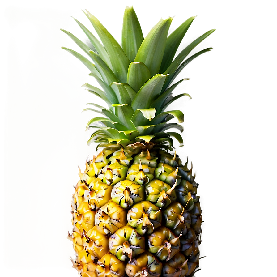 Tropical Pineapple PNG 14 PNG with transparent background