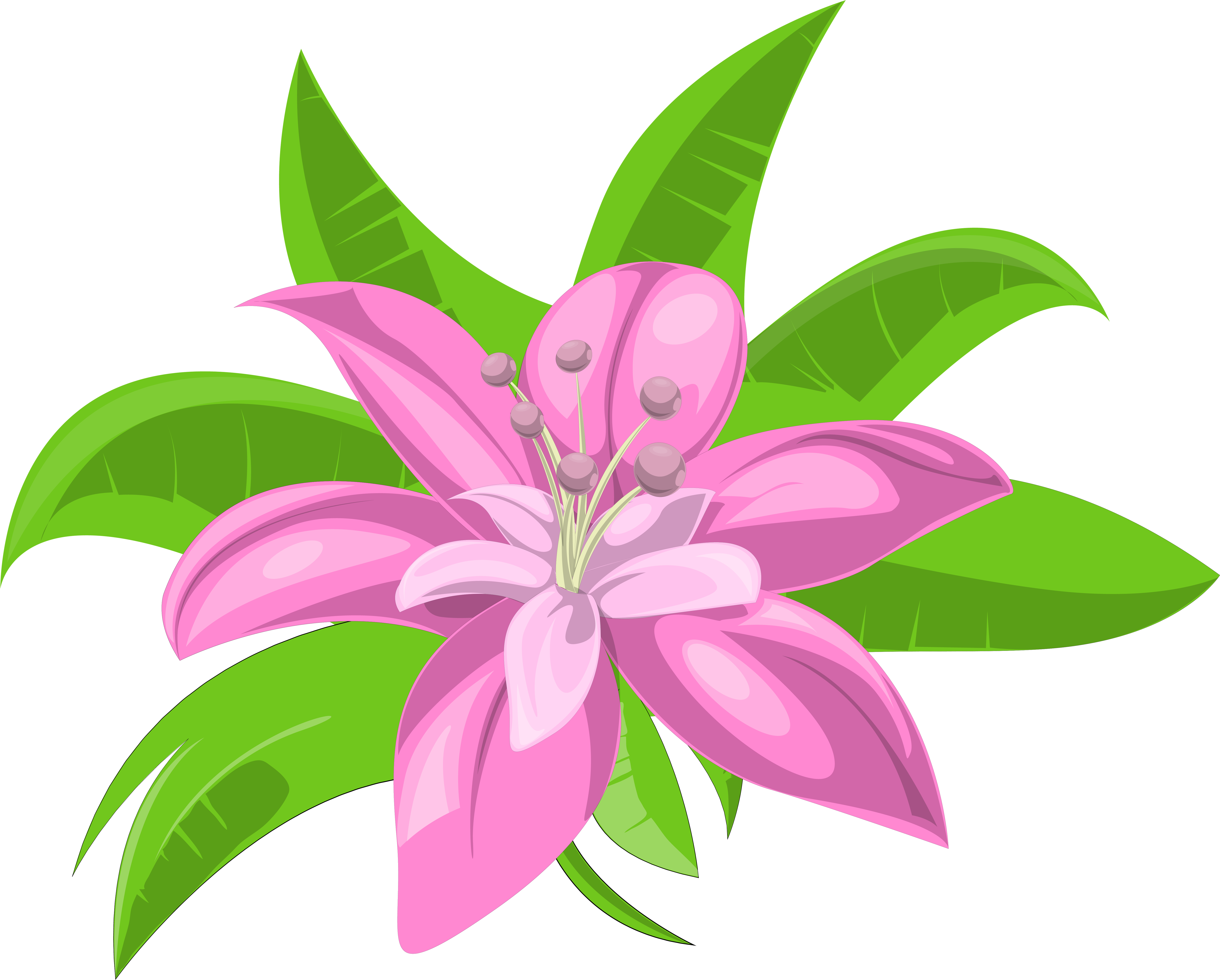 Tropical Pink Flower Illustration