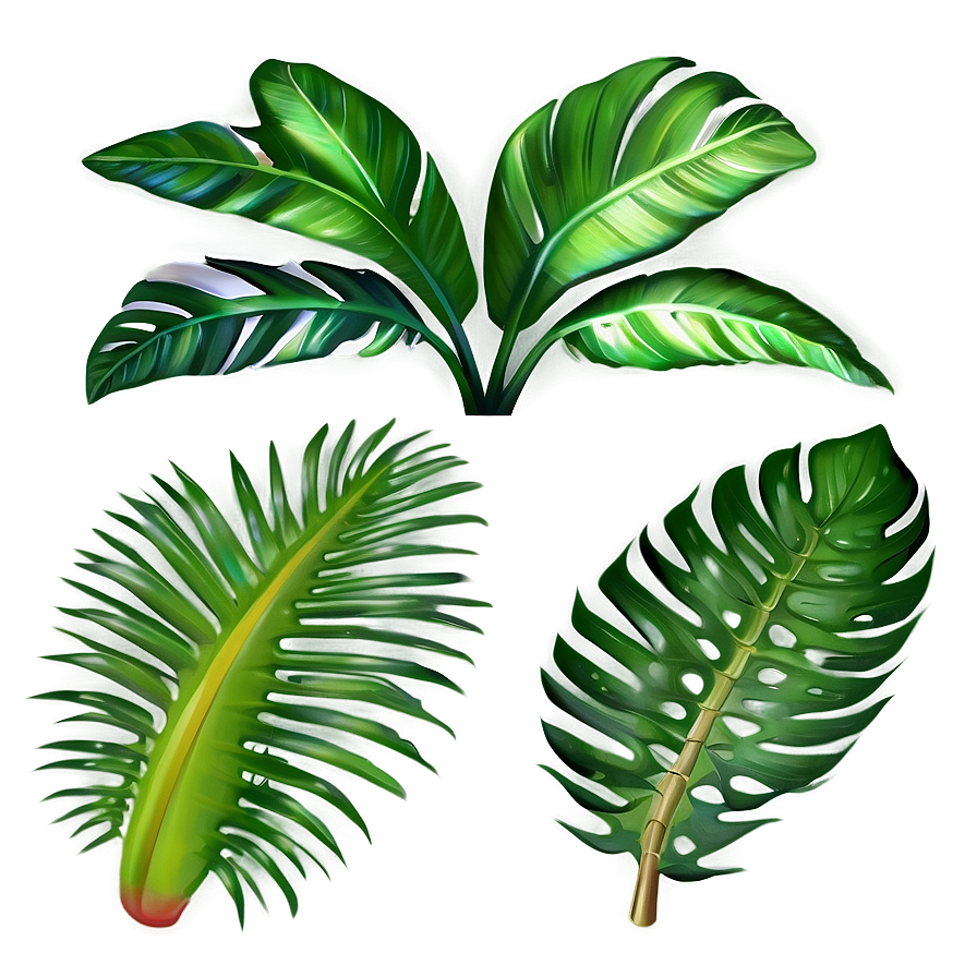 Tropical Plant Collection Png Ixt57