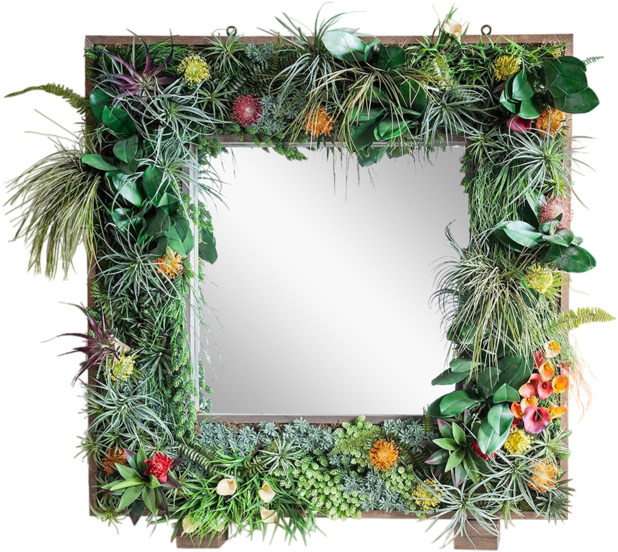 Tropical_ Plant_ Frame_ Mirror PNG with transparent background
