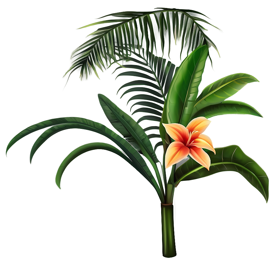 Tropical Plant Illustration Png 06272024