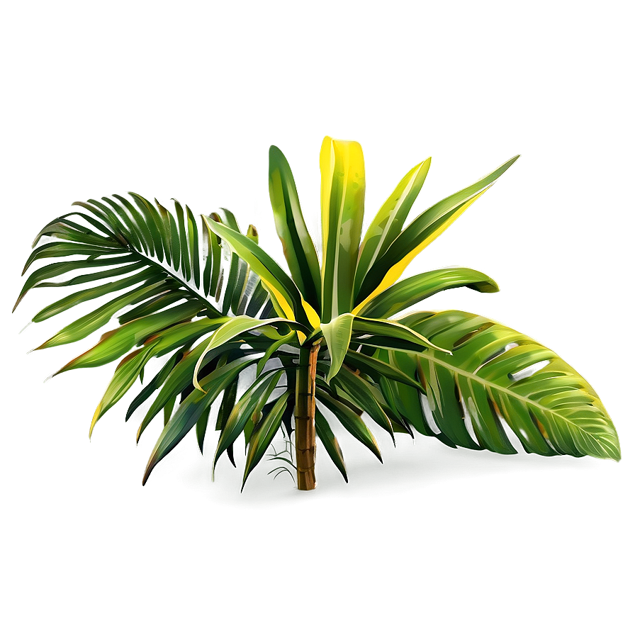 Tropical Plant Landscapes Png 06252024