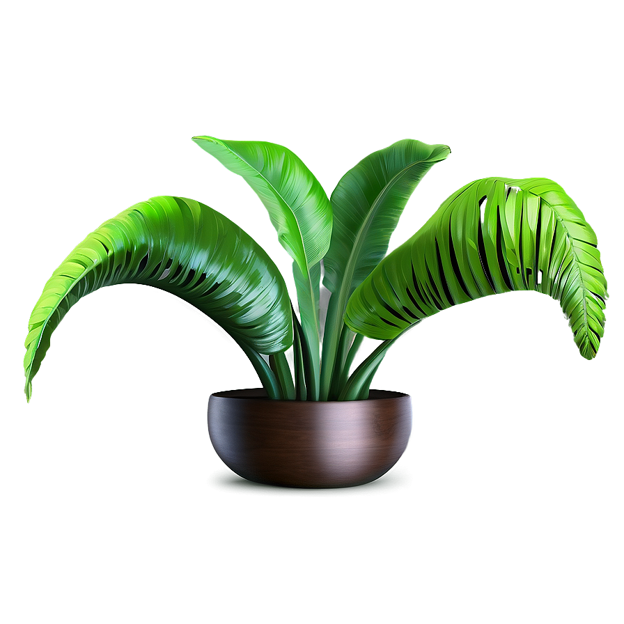 Tropical Plant Sketches Png Kxg88