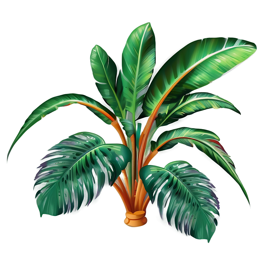 Tropical Plant Vectors Png 06252024