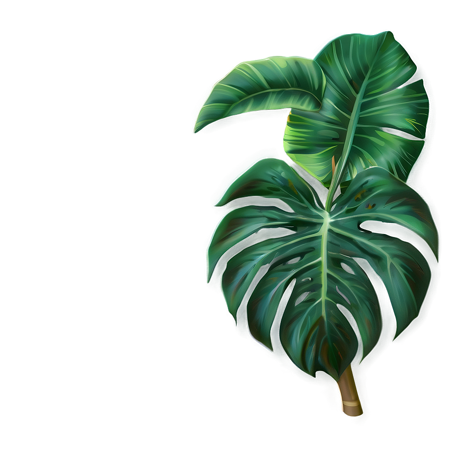 Tropical Plant Wallpaper Png 82