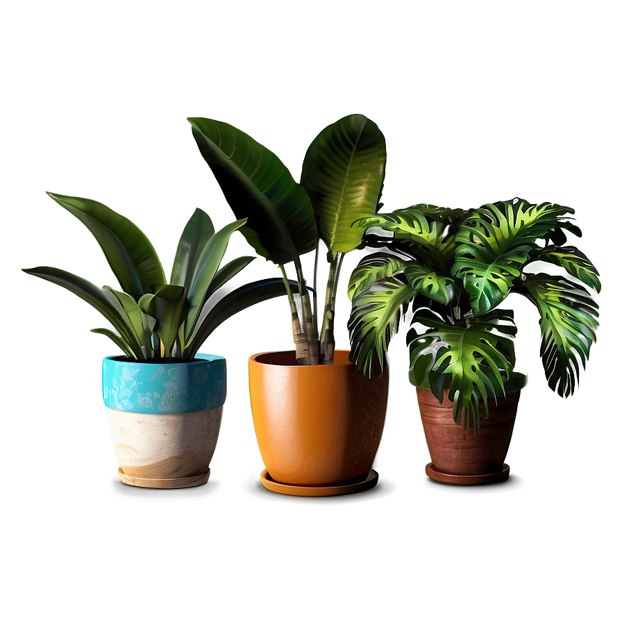Tropical Potted Plants PNG 06122024 PNG image with a transparent background, free high-resolution download