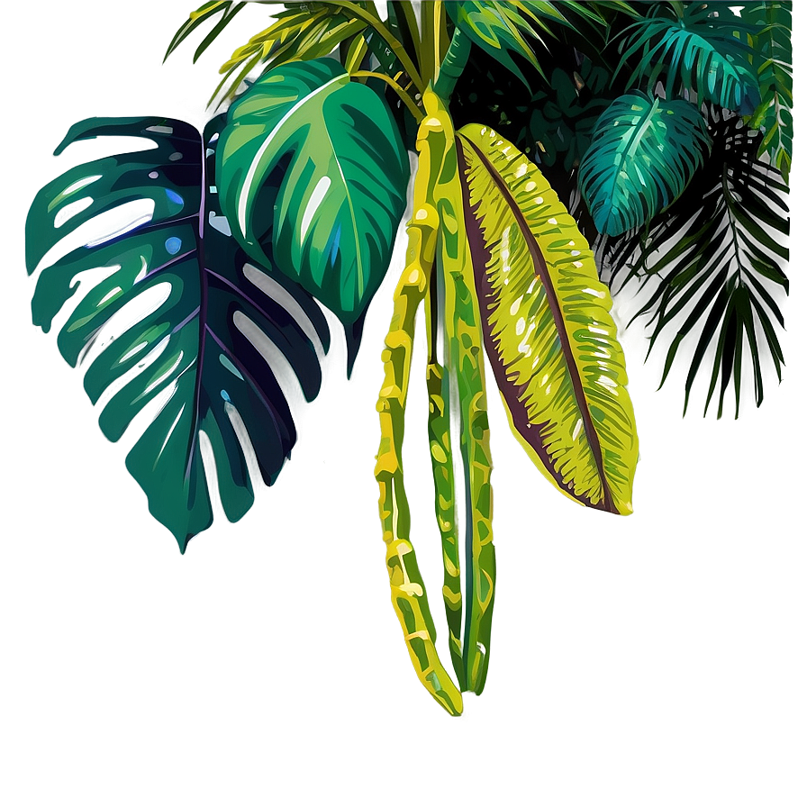 Tropical Rainforest Clipart Png Vft