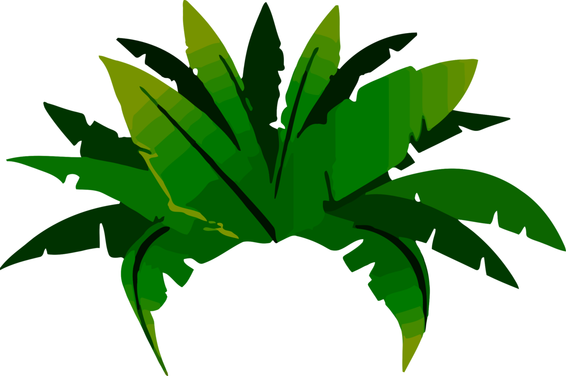 Plant,leaf,arecales - Animated Amazon Rainforest Trees, HD Png Download PNG with transparent background