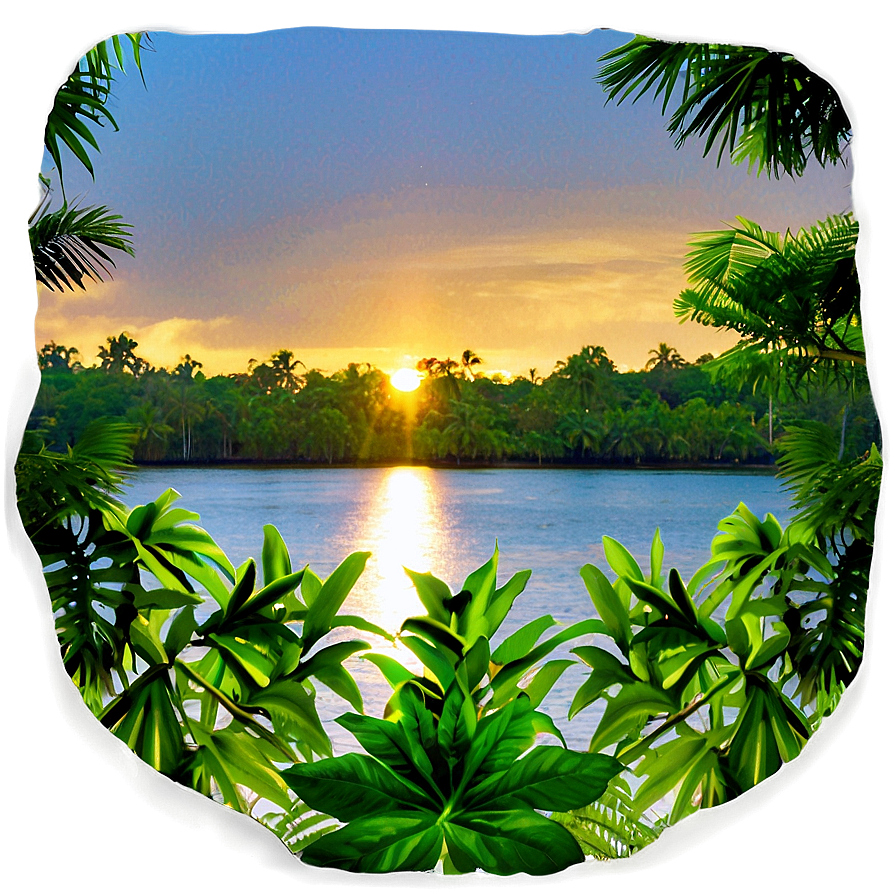 Tropical Rainforest Sunset Png 06112024