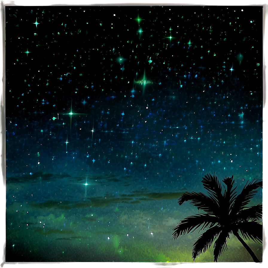 Tropical Starry Night Sky Png 44