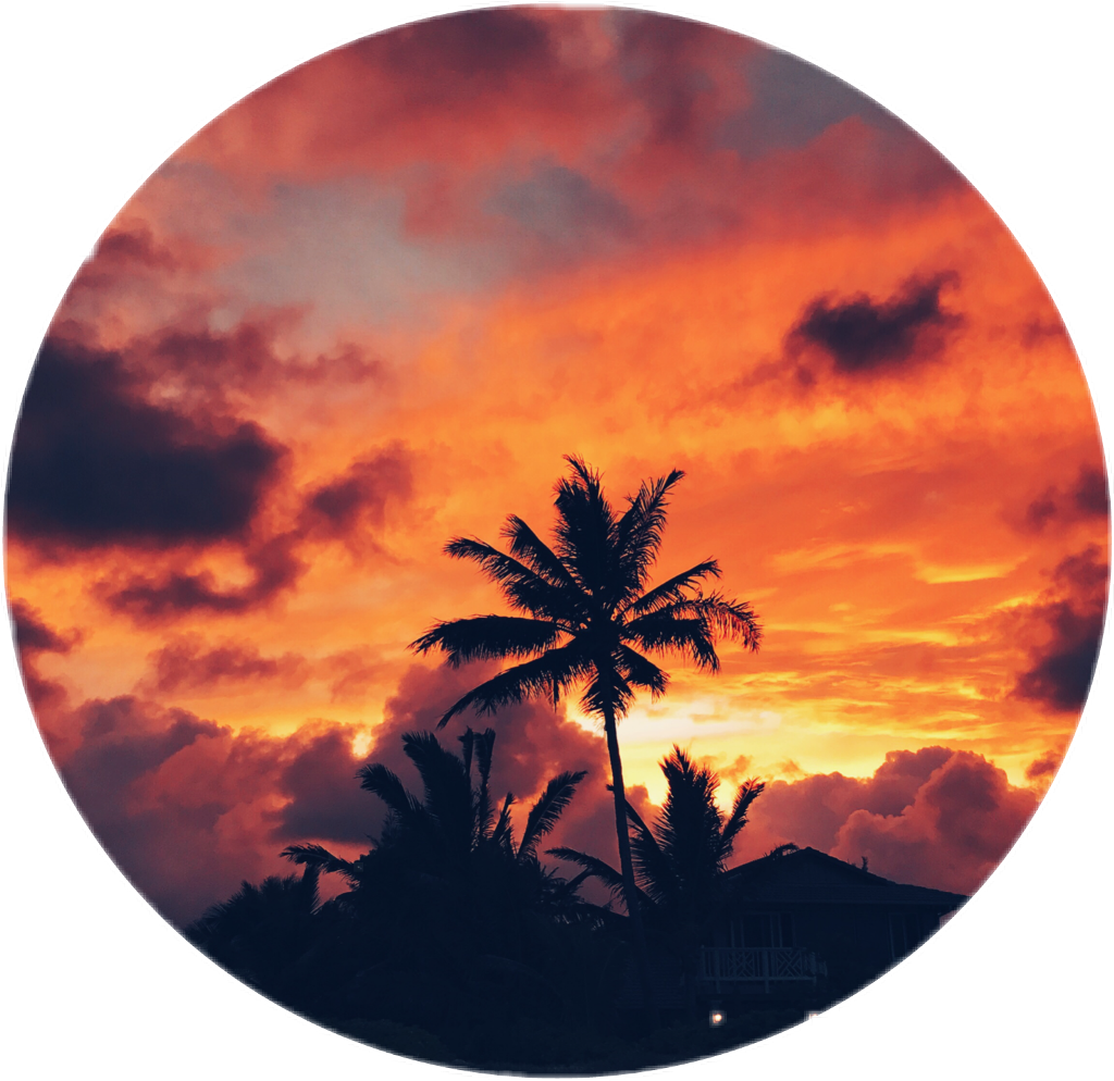 Palmeira Sticker - Sunset - Sunset Sticker Png, Transparent Png PNG with transparent background