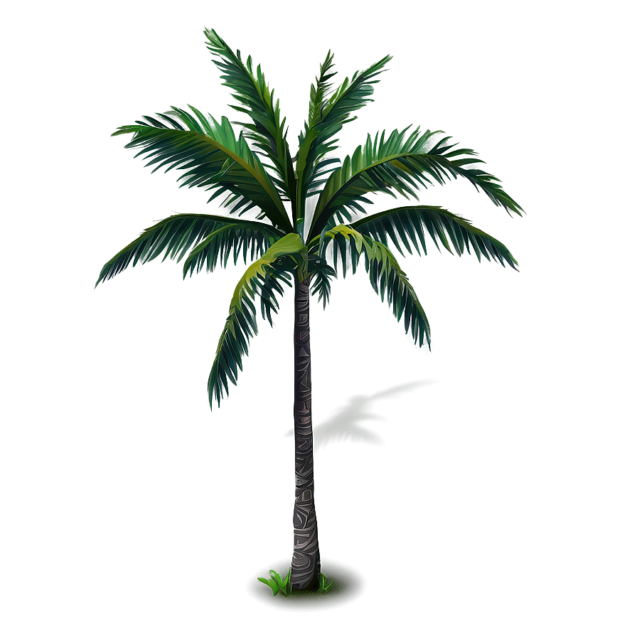 Tropical Tree Elevation Png 48