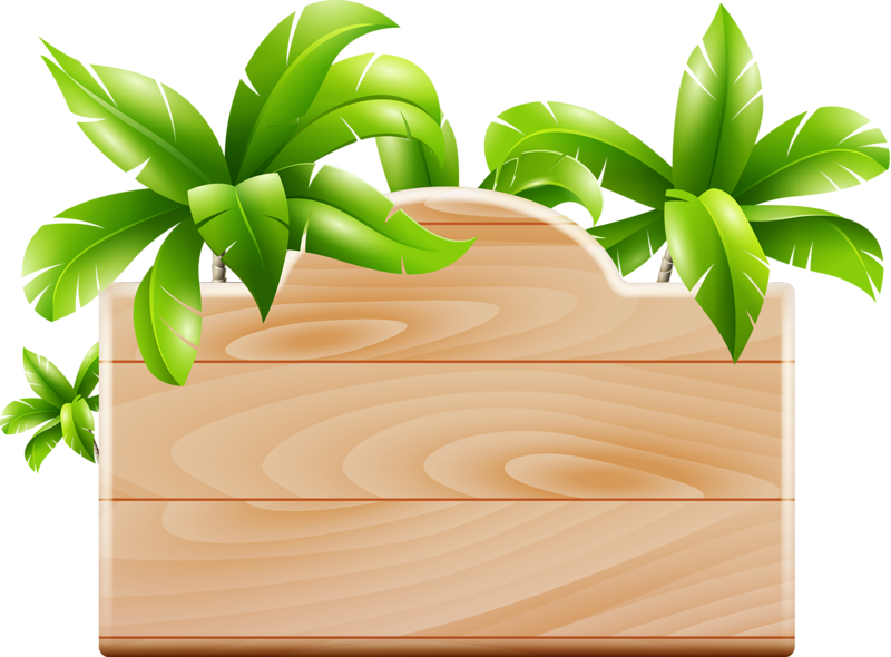 Tropical Tree Folder Icon