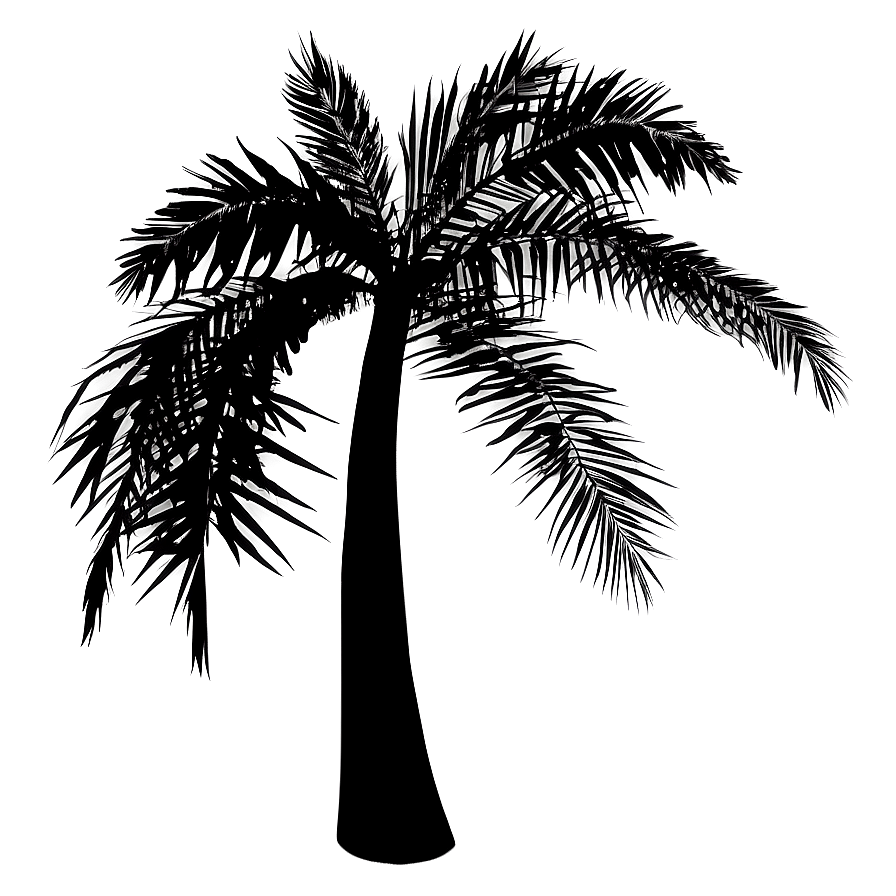 Tropical Tree Silhouette Png 05252024