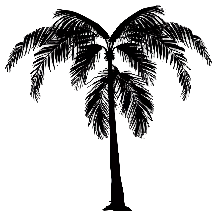 Tropical Tree Silhouette Png Wnf