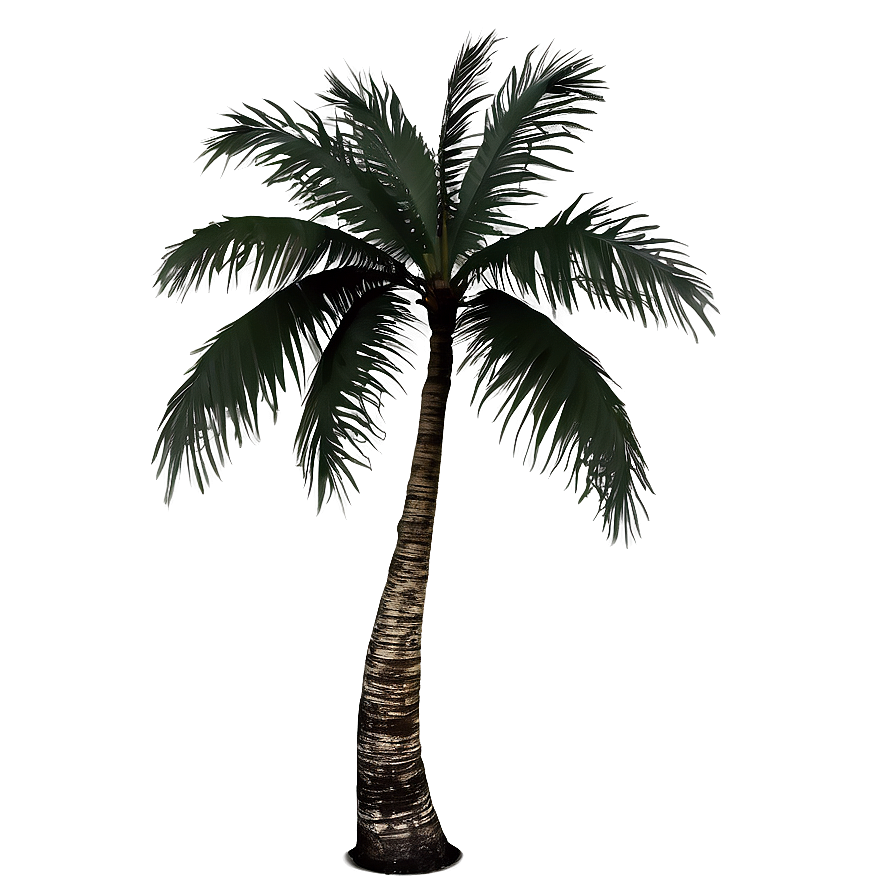 Tropical Vacation Png 84